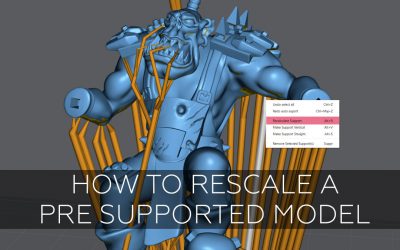 How to rescale a pre supported model