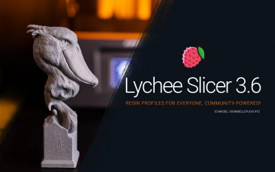 Lychee Slicer 3.6 is now available
