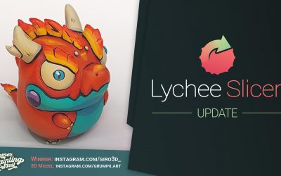 Lychee Slicer New update!