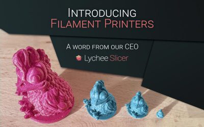 Introducing Filament 3D Printers to Lychee Slicer – A word from the CEO