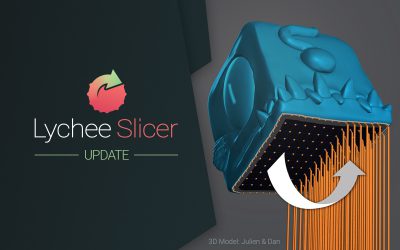 Lychee Slicer Update – Projection Support, Hole Caps, Wi-Fi Support and more!
